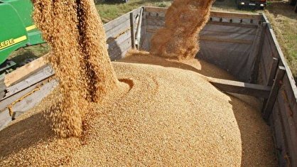 اختلاس میلیاردی از جیب کشاورز