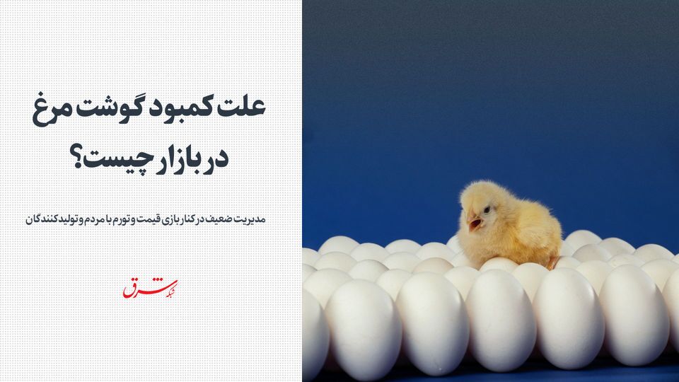 گرانی گوشت مرغ به علت حذف نرخ ارز ترجیحی و رشد تورم