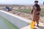 رئیس مرکز مطالعات آب: طالبان سریز آب هیرمند را به دشت می‌ریزد اما به ایران نمی‌دهد!