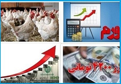 دلیل مرغ ۱۰۰ هزار تومانی چیست؟