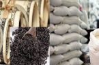 دومینوی فساد/پس از چای دبش نوبت به واردات برنج رسید!