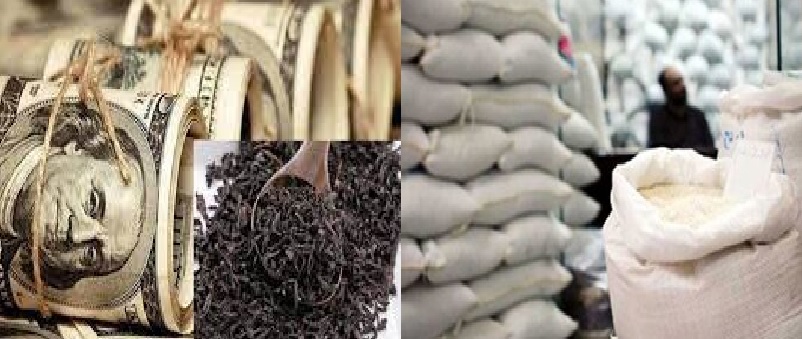 دومینوی فساد/پس از چای دبش نوبت به واردات برنج رسید!