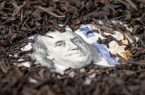 فساد چای دبش در همین دولت رخ داد و تلاش شد مسکوت بماند/ از پرونده چه خبر؟