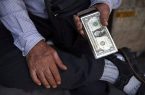 دعوای زرگری مجلس و بانک مرکزی در بازار ارز