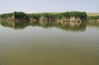 ۴۵ تالاب به کانون گردوغبار تبدیل شدند