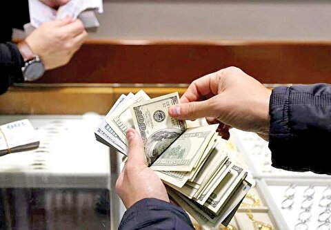 گلایه نماینده مجلس به کاهش ارزش پول ملی