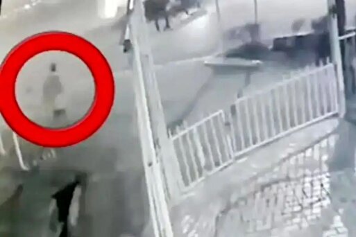 قوه قضائیه دربراه پرونده قتل دانشجوی دانشگاه تهران: سعی بر آن است که با کشف برخی سرنخ‌های مرتبط، عوامل اصلی شناسایی شده به‌زودی بازداشت شوند