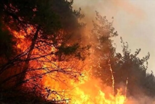 اعزام  ۲ هواپیمای اطفای حریق به همراه یک بالگرد و ۸ نیروی متخصص از ترکیه برای مهار آتش‌سوزی جنگل چالوس