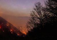 عامل آتش‌سوزی جنگل‌های هیرکانی در بابل دستگیر شد