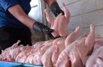 جهش هزینه تولید مرغ پس از حذف ارز ترجیحی؛ گرانی ۴ برابری نهاده ها